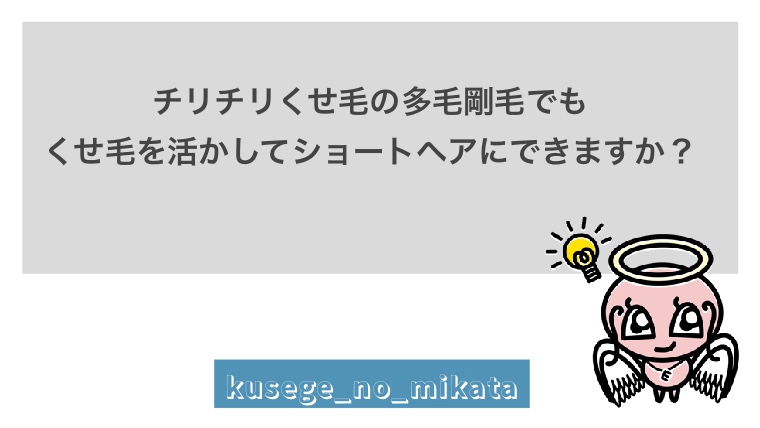 チリチリくせ毛多毛剛毛でもショートヘアにカットして活かせますか クセミカサロン くせ毛に強い美容師さんのオンライン美容室