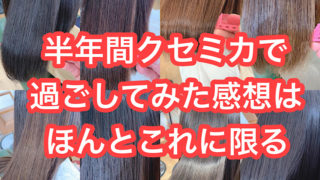 クセミカの感想